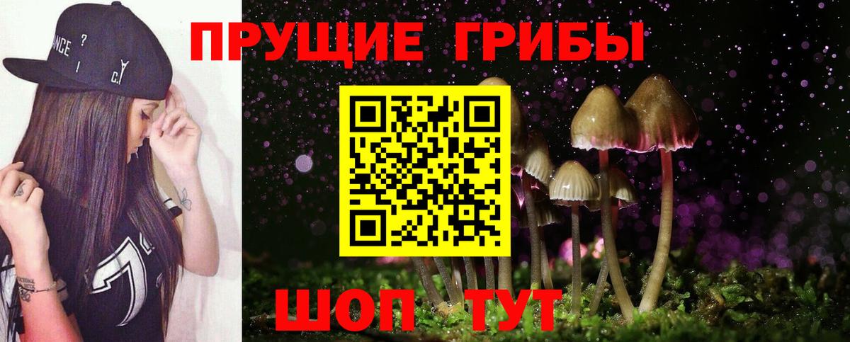 Галлюциногенные грибы Psilocybe Видное