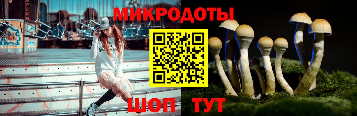Видное  где найти наркотики  Вход с VPN  Галлюциногенные грибы ЛСД  Галлюциногенные грибы прущие грибы 